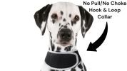 Mini Rechargeable Pet Tracker GPS GSM Realtime Tracking System for Cats & Dogs Size:M