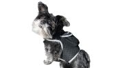 Broad GPS GSM Coverage Wireless Pet Tracking Collars for Hunting Dogs Size:L