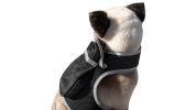 Collar Mount GPS Dog Tracker Waterproof Realtime Wireless Pet Monitor Size:L