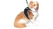 NEW GSM GPRS Mini Pet GPS Waterproof Tracker with Collar for Dogs/Cats Size:M