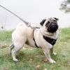 Dog Tie Out Cable Long Dog Leash Chew Proof Lead Dog Chain with Durable Spring 360Â° Rotatable Clips PVC Case for Outside Yard Caming