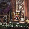 Bernese Mountain Dog and Santa Claus Throw Pillow Machine Washable, Indoor Outdoor Decorative Pillow for Couch, Bed or Patio, 14Hx14W
