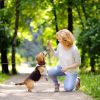 Dog Tie Out Cable Long Dog Leash Chew Proof Lead Dog Chain with Durable Spring 360Â° Rotatable Clips PVC Case for Outside Yard Caming
